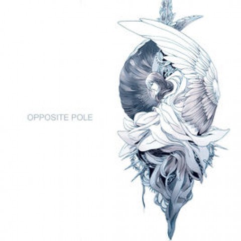 Patrice’s Live – Opposite Pole Production