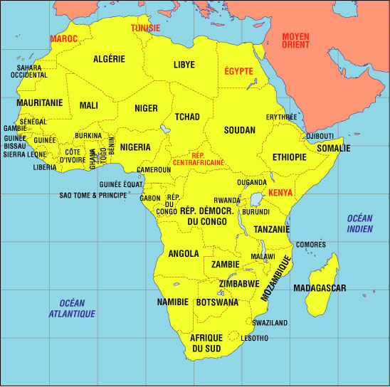 L’Afrique vue par la diaspora
